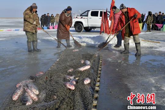 圖為冬捕魚現(xiàn)場(chǎng)。　呼努蘇圖 攝