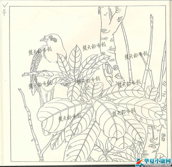 本文圖片均來自楚天都市報(bào)