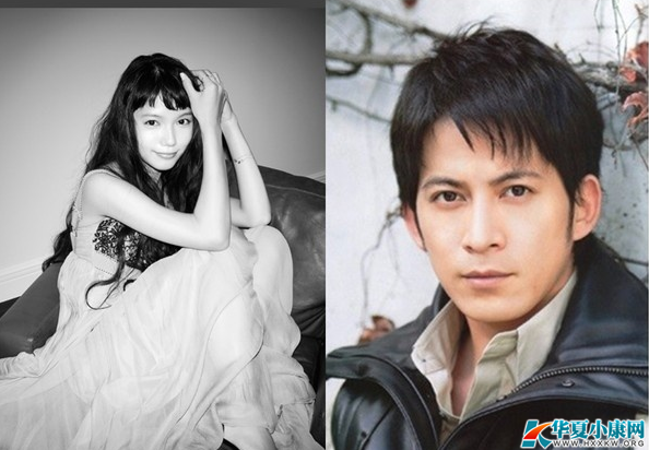 宮崎葵岡田準一平安夜宣布結(jié)婚 女方為二婚