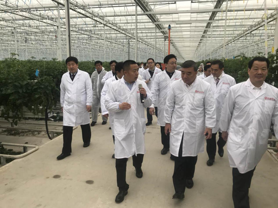 嘉賓實(shí)地參觀智慧溫室大棚