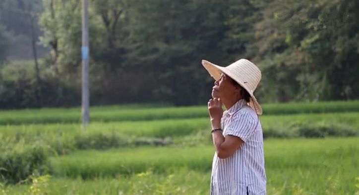 她曾率先恢復(fù)古法柴窯工藝 兩千萬(wàn)造起千年瓷宮 