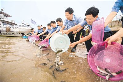 增殖放流 修復(fù)生態(tài)